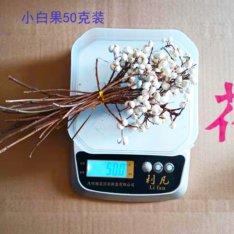 Xiaobai fruit dried flowers natural dried flowers