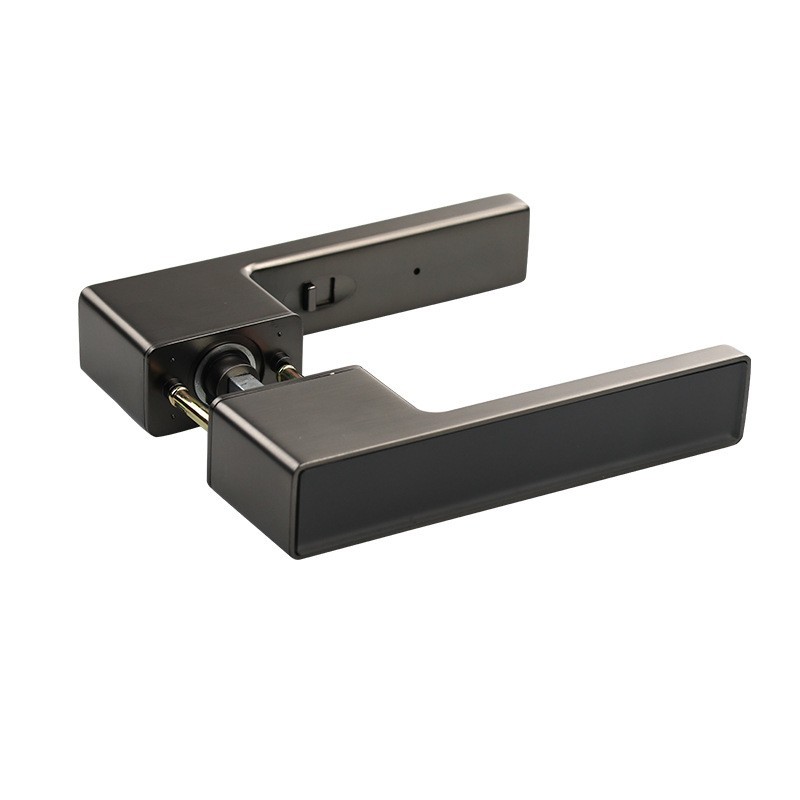 Personalizada llave oculta cerradura de puerta ecológica cerradura interior de absorción magnética cerradura de puerta de madera cerradura ecológica minimalista italiana