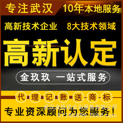 国家高新技术企业认定武汉审计报告软件著作权登记知识产权申请