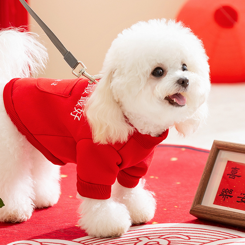 Otoño y invierno de Año Nuevo perros camisetas de dos patas mamázui buen gato de dos patas cálidas perros pequeños ropa de perro