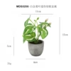MDS3206-Platinum Geye Mini Purch Pot