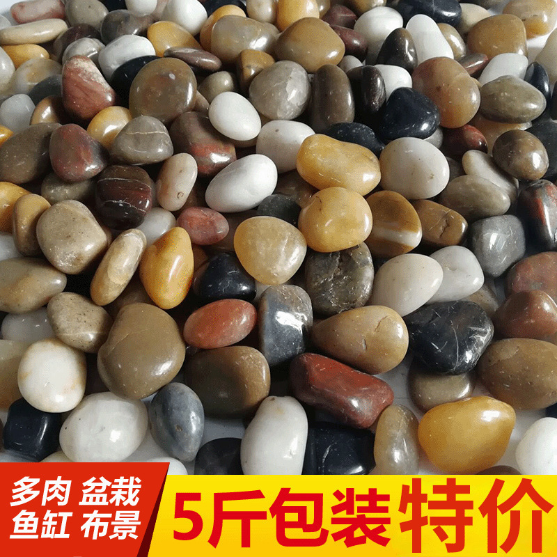 庭院鹅软石彩色石头斤鹅卵石造景天然小石子原石鱼缸花盆雨花石
