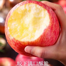 烟台红富士苹果10应当季斤新鲜水果整箱山东栖霞脆甜冰糖心丑平果