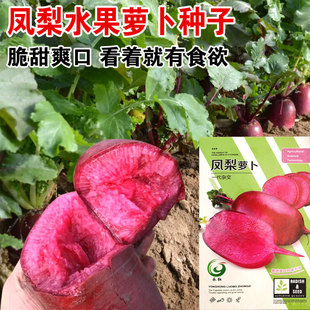 P}N˼tļtƤˮ}ﶬļ߲˷N̨