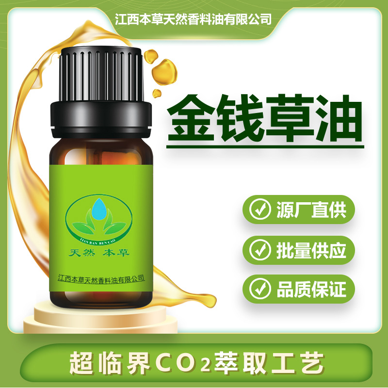 源头工厂 金钱草精油 超临界CO2萃取植物单方 按摩香薰原料50ML