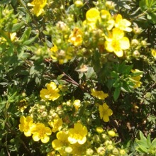 ��¶÷����2025�깩�����D÷���NС��|������÷������һվʽ��ُ