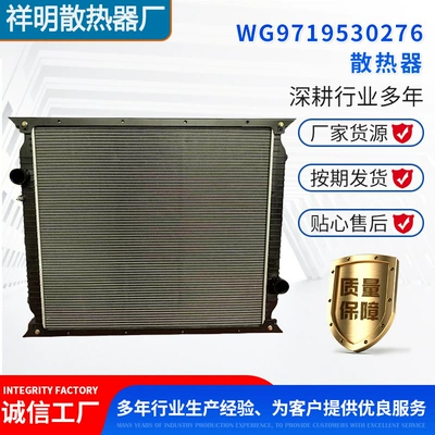 Truck Radiator Sinotruk Shaanqi Scania Volvo Man Daf Iveco Intercooler