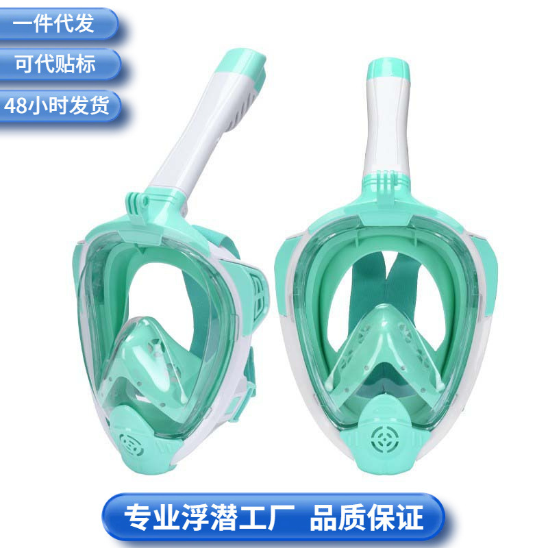 2024 Anti-Fog Snorkeling Mask with Full Dry Snorkel, Adult Model, Silicone Diving Mask, Breathable, Anti-Choking, Portable