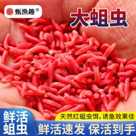 鱼饵;鱼竿;渔线