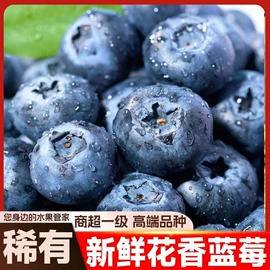 枇杷;柑桔;石榴