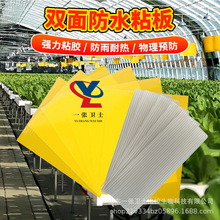 ճ�x����ω���p���S�{��S��ֱ�N�T�x���r�I�@�ִ�������x�N