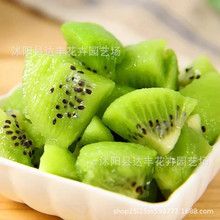 ���l�J���ҷN���殐��������������������·N�J������