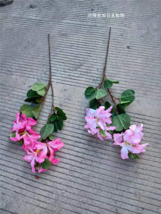 �������G���Ͻ�֦�ٻ������G����������ϻ�������G���Ĕz����