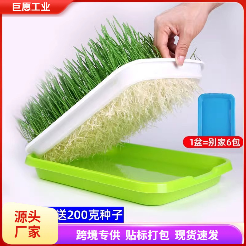 Cat Grass Hydroponic Cat Grass Seed Planting Set Cat Hair Removal Cream Cat Grass Seeds Cat Snacks Cat Mint