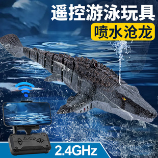 S11 Cross-Border 4Drc Electric Camera-Enabled Artificial Dragon Remote Control Dinosaur Water Spray Kidsren's Toy Boy Remote Control Boat