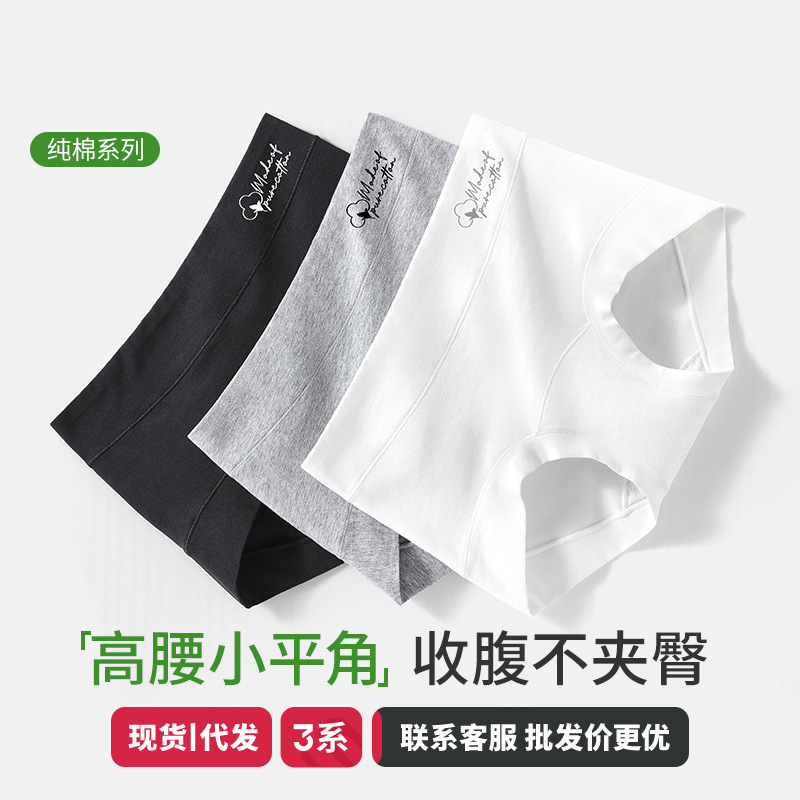 New Women's Boxer Briefs, Pure Cotton, Extended Crotch, 10A Antibacterial, Large Hip Coverage, High-Waisted, Small Boxer Shorts
