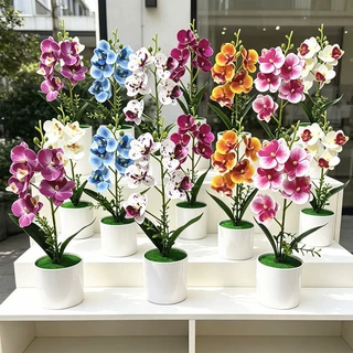 新款圆盆3号五花蝴蝶兰盆景室内简约创意DIY花盆盆栽仿真绿植批发
