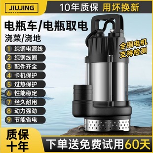 Dc Submersible Pump 12V-72V Battery Type Household Small Water Pump Agricultural Irrigation Rechargeable Electric Vehicle Water Pump