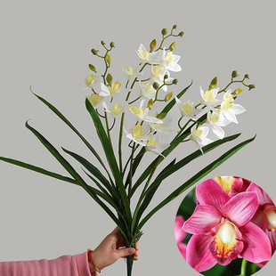 ����ޥ�m�����������m�ٻ��m���廨�b��滨2�控�~ޥ�m������