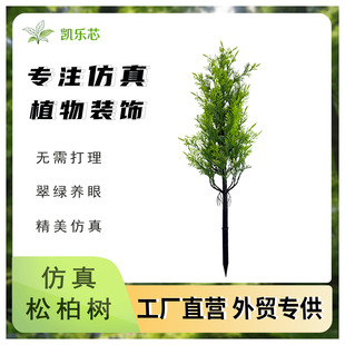 �羳����Gֲ����������滨�����}�Q���ɰؘ��~�辰�G���b[��