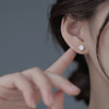Zirconium, small classic earrings suitable for men and women, silver 925 sample, simple and elegant design