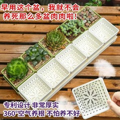 制御根多肉組み合わせ植木鉢長条形プラスチック通気制御根専用の小型方盆と栄養土帯トレー