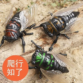 清洁球/刷;厨房小工具;衣钩/挂钩