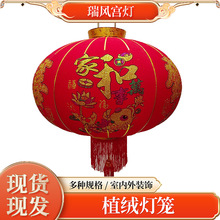 2024�¿�ֲ�qС���\ϲ�ּt���\���괺���b��T�̨�t���\���l