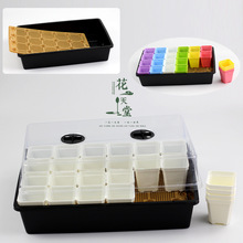 ���⻨����������P�Ӻ��~�巽��������ˮ���B�����߲˻��ܲ��N��