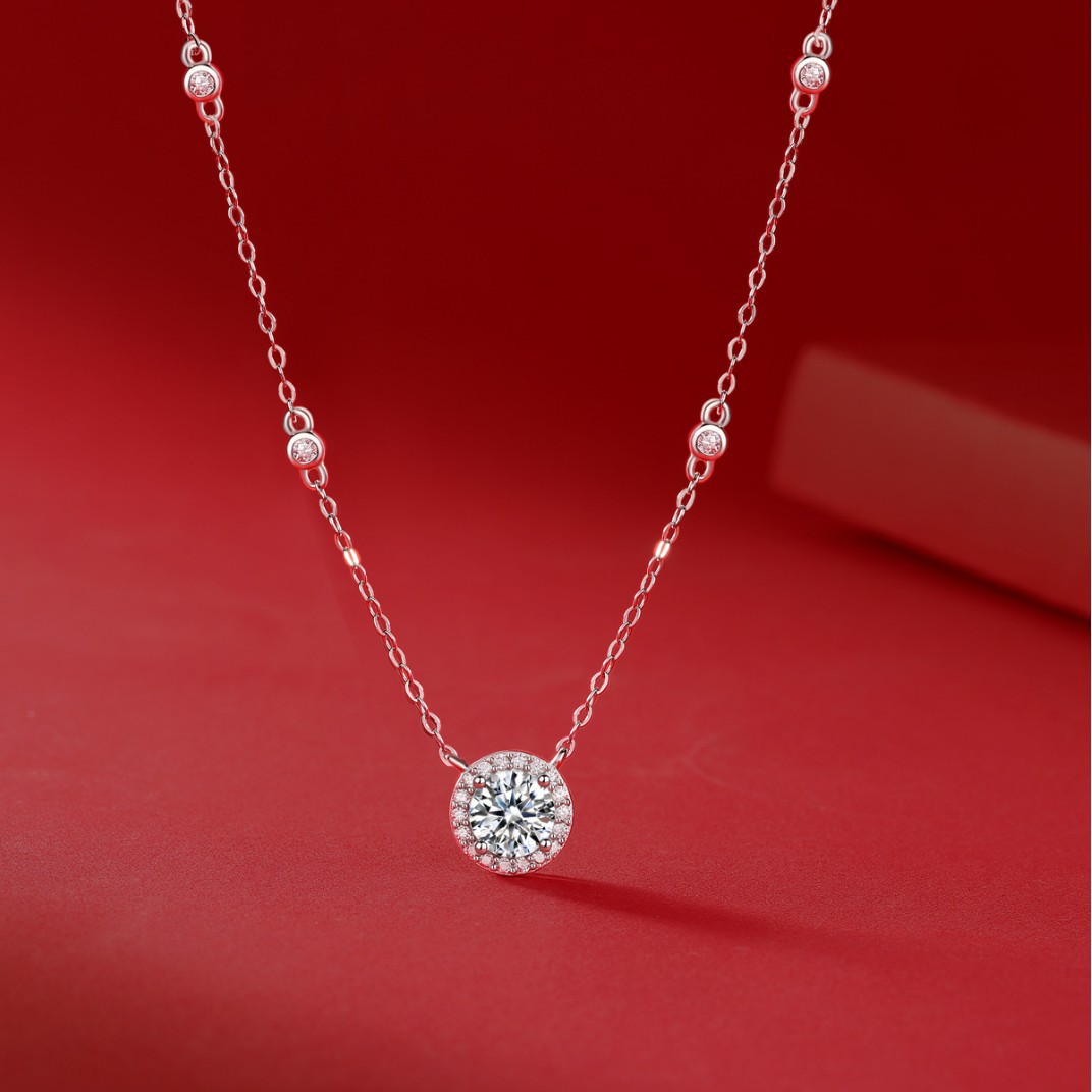 2024-12-28 13:49:35.jpg