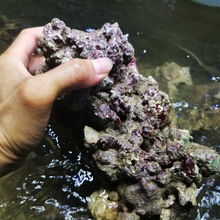 ׻ʯˮʯ}_ױ쾰ʯˮ~ɺ쾰ʯ^