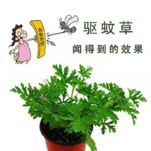 òݷN҃ͥԺݾGֲԻܻN ļ