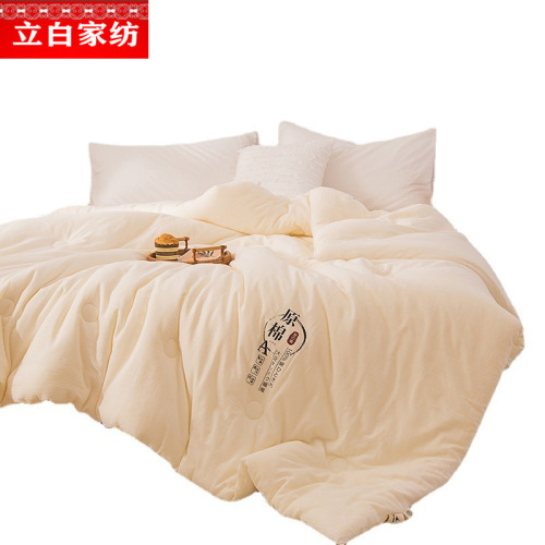 Nantong Class A Maternity Grade Soy Fiber Blanket Pure Cotton Core Soy Fiber Blanket All-Season Blanket Thick Winter Blanket Spring and Autumn Blanket