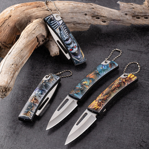 Factory Outdoor High Hardness Small Knife Folding Mini Pocket Portable Personal Fruit Knife Sharp Key Knife