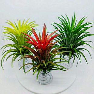 �՚��P��o������Сֲ�����Ժ��B�����҃ȃ�������[���Gֲ