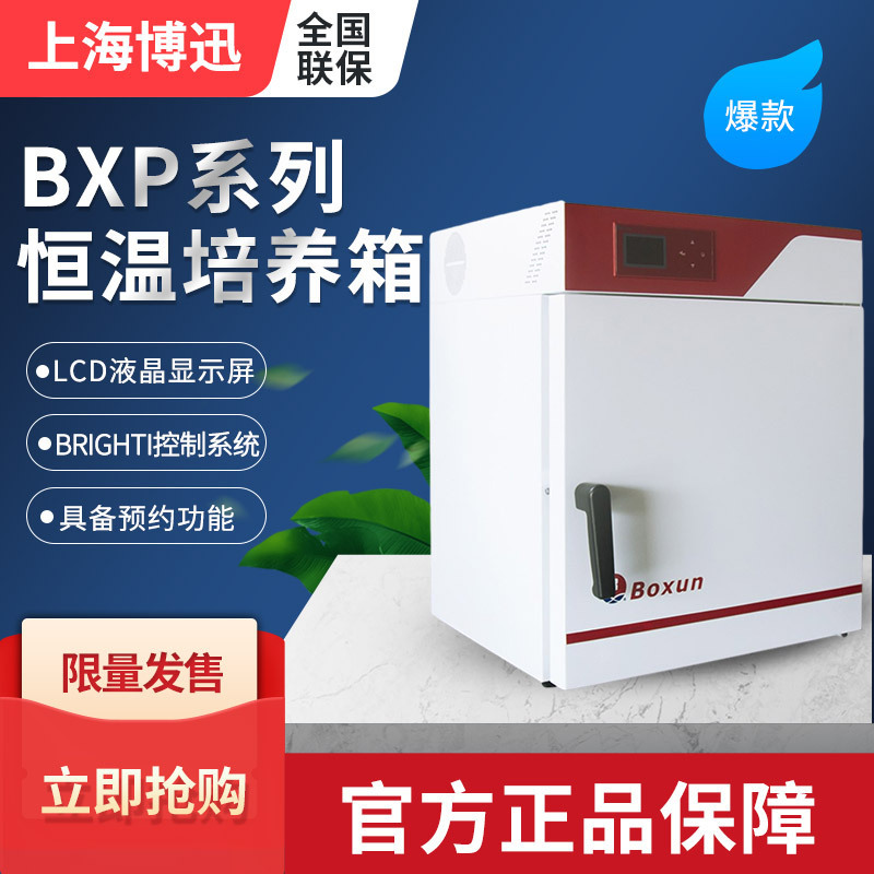 Shanghai Boxun BXP Series LCD Display electric heating constant temperature incubator bacterial incubator