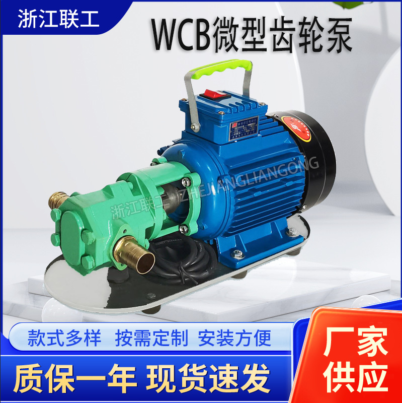 WCB便携式手提泵 防爆齿轮油泵 汽柴油卸车泵机油循环供油泵