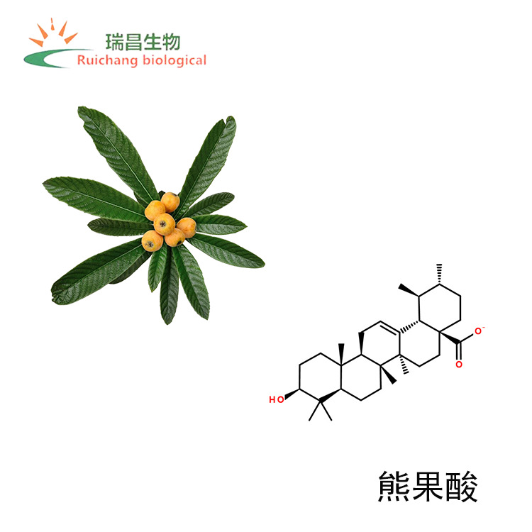 枇杷叶提取物10：1 熊果酸5%  枇杷叶浸膏粉植物养颜高含量