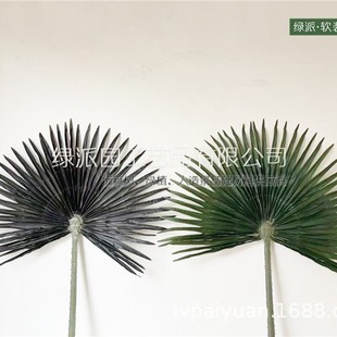 �����ؙ���٘��~�����ؙ����Aʢ�D�����˿���֦С̖�Gɫ�ؘ��~��