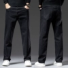 Black [Spring and Autumn Panda]