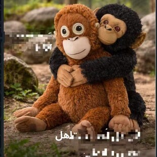 �羳���Q������Գ��ë�q������ɹ��к��ӿ��S��[���ͬF؛