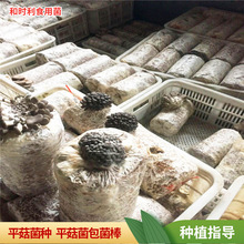 �����F؛��������ƽ��������3����b��ͥ������ƽ���������Mָ��