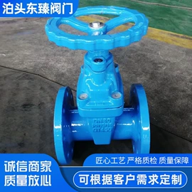 其他阀门;止回阀;闸阀