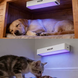 太阳能灯;装饰台灯;挂式杀菌灯