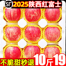 陕西苹果洛川红富士水果新鲜应当季整箱丑批发10斤冰糖心红甜时令