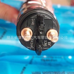 0445120178 ロシア カマス燃料噴射ノズルアセンブリ 0445120460 コモンレール燃料噴射装置