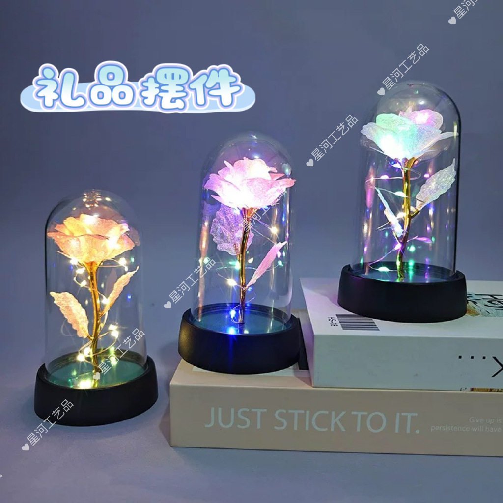 Flor seca inmortal cubierta transparente mano de bloques de construcción muñeca mano modelo de luz nocturna cilíndrica a prueba de polvo acrílico a prueba de caídas al por mayor
