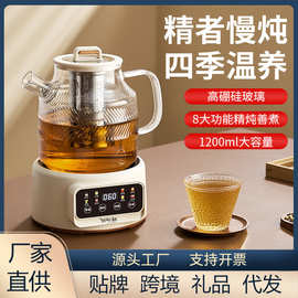 大容量养生壶多功能家用小型办公室全自动玻璃壶煮茶器烧水壶代发