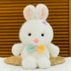 Running little rabbit