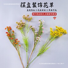 �[�P�b�����˲�Ʒ�c�Y�����b�Ʒ�[���Ƶ�P��b�߅����